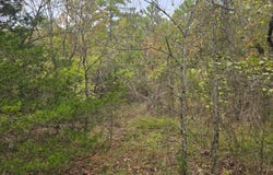 Watertower Rd, Talihina, OK 74571