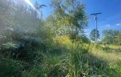 502 COUNTY ROAD, CENTRE, AL 35960