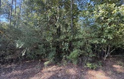 PARCEL#31432 CR 3385, Lovelady, TX 75851