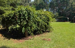 Nature Way, Saluda, SC 23198
