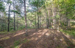11 & 12 Crosscut Way, Davis, WV 26260