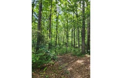 415 Highway 151, LaFayette, GA 30728
