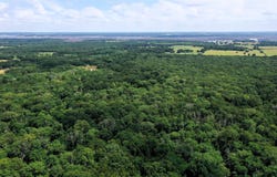 County Road 2620, Ivanhoe, TX 75447