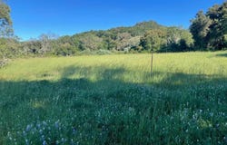 34222 Robinson Canyon RD, carmel, CA 93923