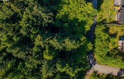 Walsh Ln, ArchCape, OR 97102