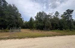 4717 NE 141ST Avenue, WILLISTON, FL 32696