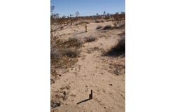 426 Gerber Avenue 428, Landers, CA 92285