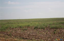 Gooseneck Road, Bartlett, TX 76511