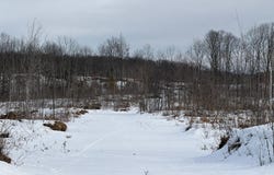 ON FOREST DR W, Ogema, WI 54559