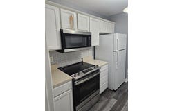 195 Toni Lane, Branson, MO 65616