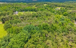 County Road 224, WATER VALLEY, MS 38965