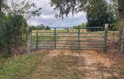 11.26 Bub Jamison Road, Coldwater, MS 38618