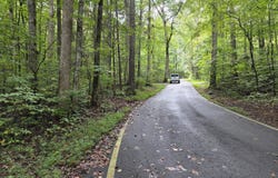 165 Lail Lane, Townsend, TN 37882