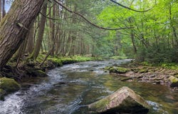 663 Fork Run, PA 16830