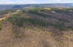 Thunder Ridge Drive, South Pittsburg, TN 37380