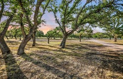 1295 Park Rd 4, Burnet, TX 78611