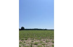 Highway S lot: 9, Camden, NC 27921