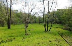 FM 71, Talco, TX 75487