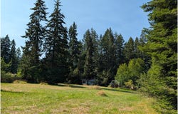 49241 MOUNTAIN VIEW Rd, Oakridge, OR 97463