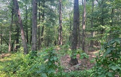 6927 Chaneysville Rd., PA 15535