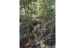 Pea Ridge Connector Rd, Pace, FL 32571