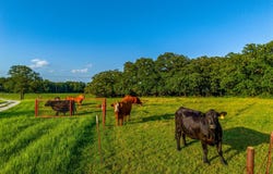 141 County Road 4793, Boyd, TX 76023