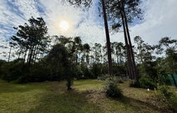 213 DUNAWAY Street, Interlachen, FL 32148