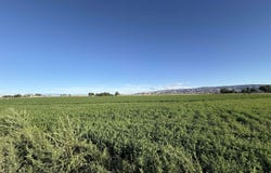 Loma, CO 81524