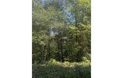 Lake Lurleen Rd, Coker, AL 35452