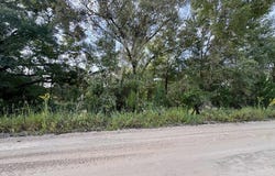SE 80th Ln, Trenton, FL 32693