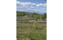Divide/ Davewood Road, Montrose, CO 81403
