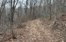 N Route 219, Renick, WV 24966