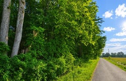 Cross Road, Vevay, IN 47043