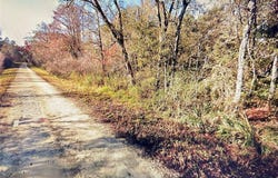 TABLE ROCK Drive, WEBSTER, FL 33597