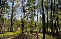 1.10 Curtiss Rd, Camden NY, NY 13316