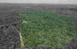 530 Pelston rd, Breeding, KY 42715