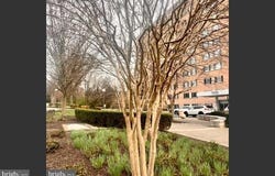 1900 LYTTONSVILLE Road, SILVER SPRING, MD 20910