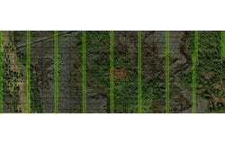 Old Grade Road, FL 33868