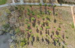 Wilson Road, La Crosse, VA 23950