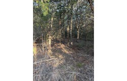 160 Helemano Dr, Bastrop, TX 78602