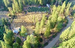 831 Pine Forest Dr, Hayfork, CA 96041