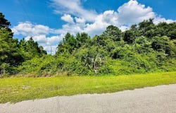221 Franklin St, Lanark Village, FL 32323