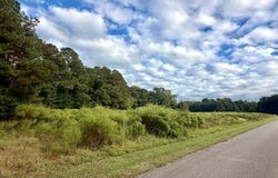 Misty Glen Road, Saint George, SC 29477