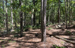 274-A Monkey Wrench Trail, Moyers, OK 74557