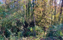 Ervin Street, Honea Path, SC 29654
