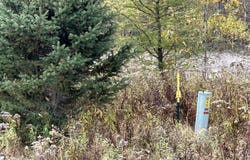 Lt44 Big Cub Trl, Laona, WI 54541