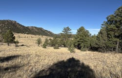 Stephens Dr lot: 35, Westcliffe, CO 81252