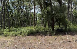 960 STATE ROAD 100, Florahome, FL 32140