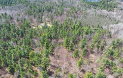 Off ZEMAN RD lot: 2, Eagle River, WI 54521