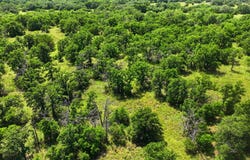 County RD 581, Cisco, TX 76437